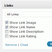 Link Description in WordPress