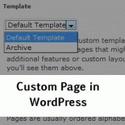 How to Create a Custom Page in WordPress