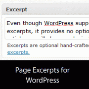 Wordpress Show Page Excerpt Widget