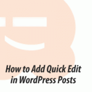 Save time by adding a Quick Edit Button in WordPress Posts Save time by adding a Quick Edit Button in WordPress Posts