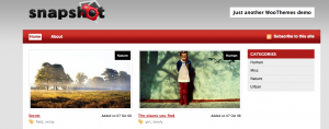 Snapshot Theme