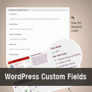 Custom Fields in WordPress