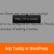 How to Add Tooltip in Your WordPress Posts and Pages