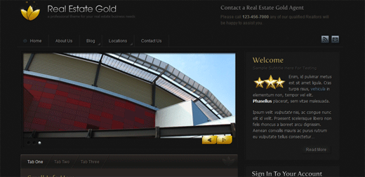 Real Estate Gold Real Estate Gold
