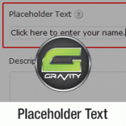 Placeholder Text for Gravity Forms