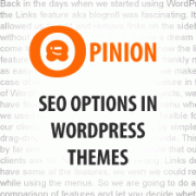 Why WordPress Themes Should Not Have SEO Options and Why They Do? Why WordPress Themes Should Not Have SEO Options and Why They Do?