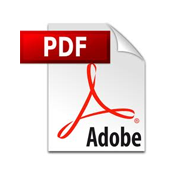 How to Add a PDF Download for Posts in WordPress