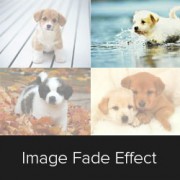 Image Fade Effect