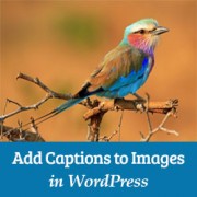 How to Add Caption Text to Images in WordPress