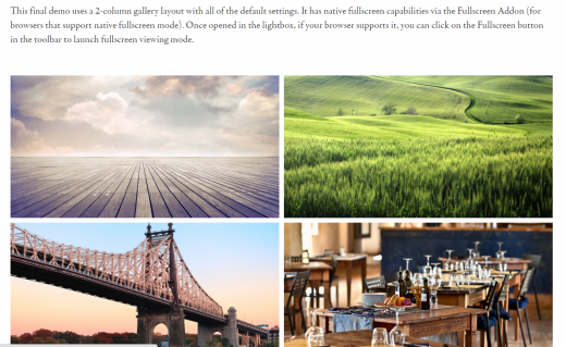 envria gallery demo2