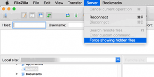Show hidden files in Filezilla Show hidden files in Filezilla