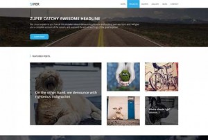 Zifer Child Zifer Child