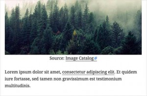 Icon indicating external links Icon indicating external links