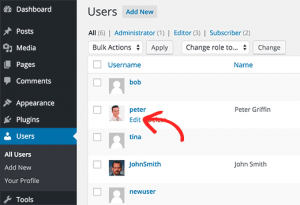 Editing user profiles by an Administrator in WordPress Editing user profiles by an Administrator in WordPress