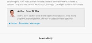 Author info box with rounded avatar Author info box with rounded avatar