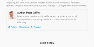 Author info box added with plugin Author info box added with plugin