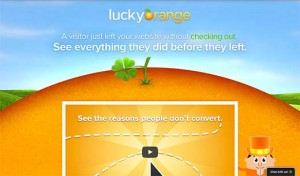 Lucky Orange Lucky Orange