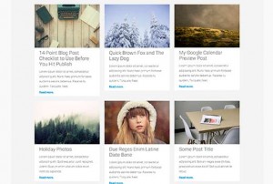 WordPress posts displayed in a grid layout WordPress posts displayed in a grid layout