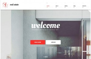 Real Estate Agency Real Estate Agency