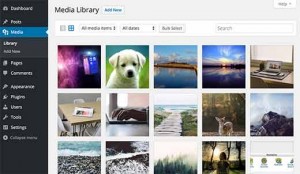 Media Library view in WordPress admin area Media Library view in WordPress admin area