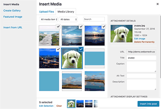 Common image issues in WordPress Common image issues in WordPress