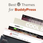 20 Best BuddyPress Themes for Your WordPress Website