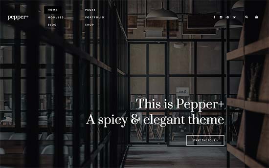 Pepper+