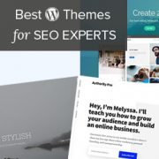 24 Best WordPress Themes for SEO Experts