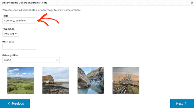 Filtering images and videos using tags