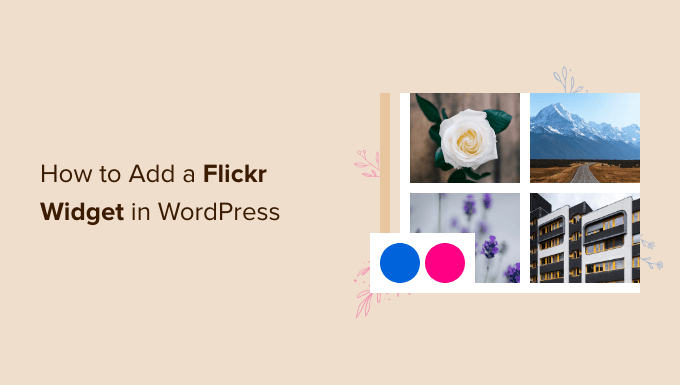 How to add a Flickr widget in WordPress