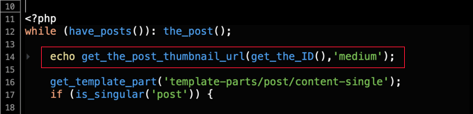 Code Snippet to Display Post Thumbnail URL