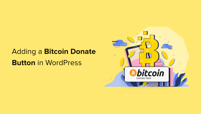 How to add a Bitcoin donate button in WordPress (step by step)