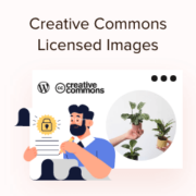How to Find & Insert Creative Commons Licensed Images in WordPress