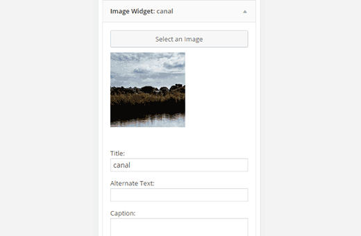 Image widget