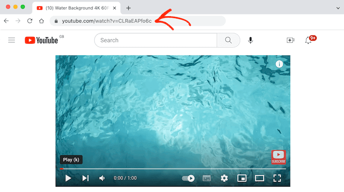 How to Add YouTube Video as Fullscreen Background in WordPress