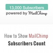 MailChimp Subscribers Count