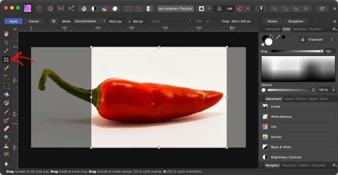 WebHostingExhibit editthumbaffinitypaint How to Easily Serve Scaled Images in WordPress (Step by Step)  