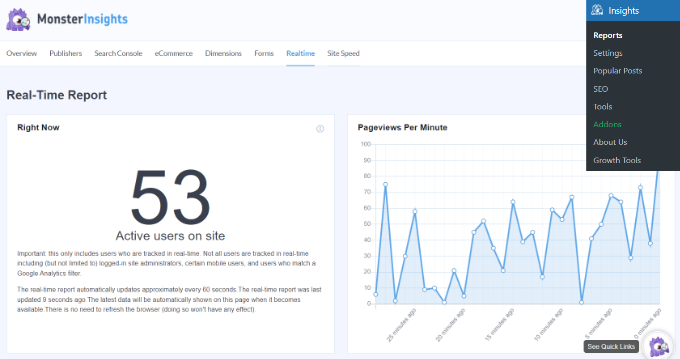 View real- Time Report in MonsterInsights