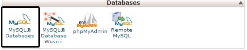 MySQL databases in cPanel