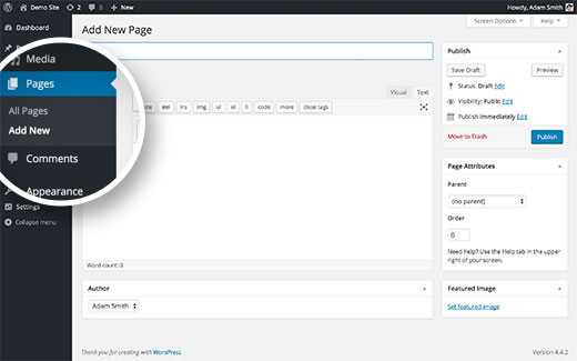 WordPress user interface