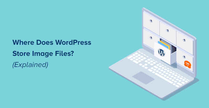 WordPress 在哪里存储图像文件（解释）