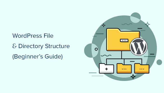 Объяснение структуры файлов и каталогов WordPress для начинающих