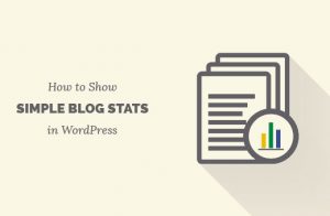 How to Show Simple Blog Stats on Your WordPress Site