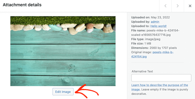 Edit an image in the WordPress media library