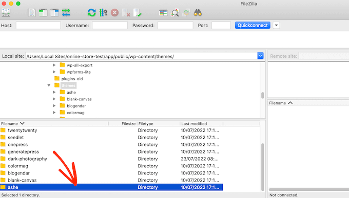 The FileZilla FTP customer