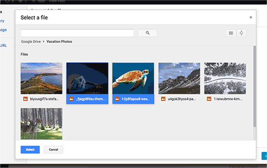 Выберите файлы, которые вы хотите импортировать из Google Drive