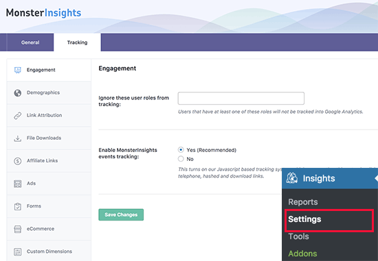 MonsterInsights tracking