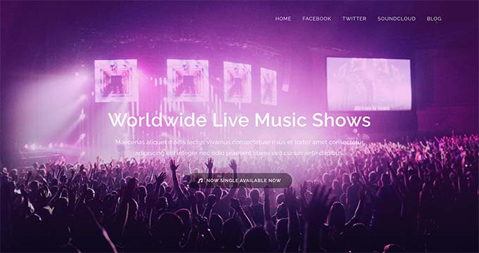 OceanWP theme for musicians and bands