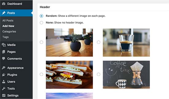 Random header for single post and pages in WordPress
