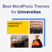 Best WordPress Themes for Universities